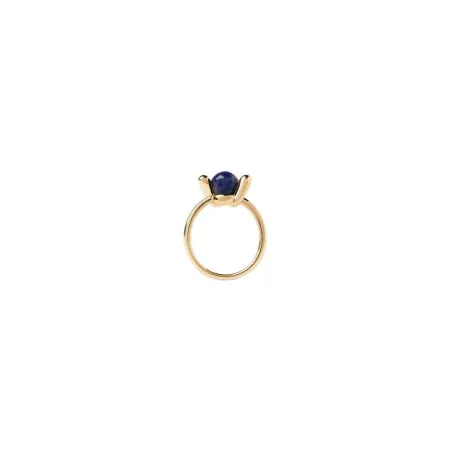 Anillo PdPaola Nexus Plata Baño Oro y Soladita AN01-D21