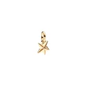 Mini Charm Colgante Pandora Estrella Facetada 763628C01