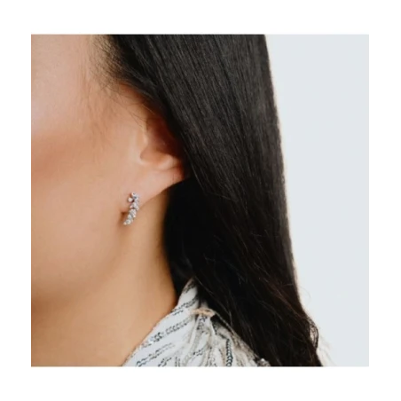 Pendientes Diamonfire Plata y Circonitas Blancas 6221851082