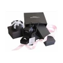 Pendientes Diamonfire Plata y Circonitas Blancas 6221851082
