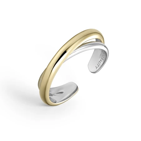 Anillo Itemporality Doble Aro Plata Bicolor SRN-400-134