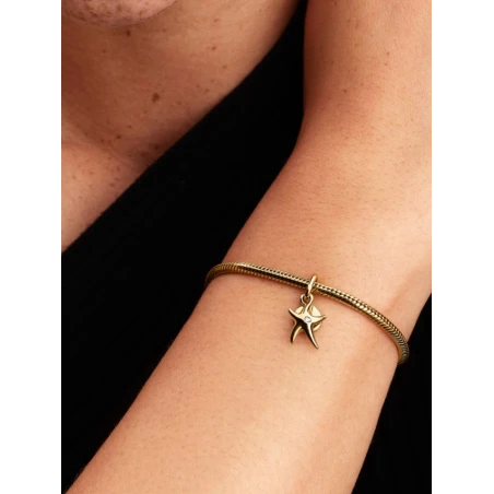 Charm Colgante Doble Estrella de Mar Baño Oro 763892C01