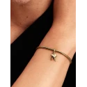 Charm Colgante Doble Estrella de Mar Baño Oro 763892C01