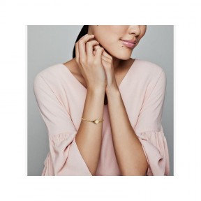 Pulsera Pandora Shine Moments Corona Brillante 569046C01 2