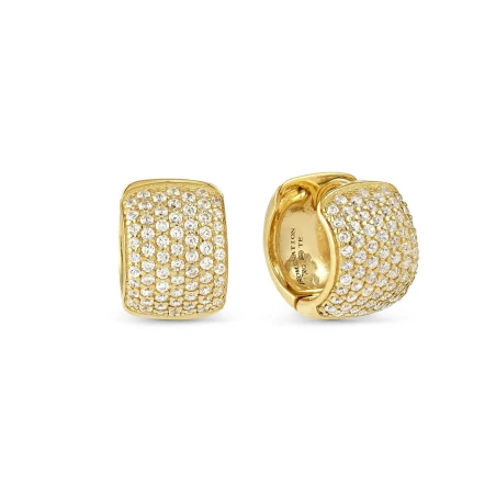 Pendientes Nomination Enigmatic Shine Aro Acero Baño Oro y Circonitas Blancas 242419/012