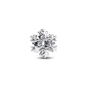 Charm Pandora Copo de Nieve 794249C01