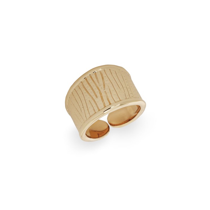 Anillo Ancho Vidal&Vidal Horizonte Baño Oro...