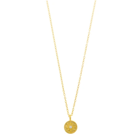 Collar Salvatore Plata Baño Oro Círculo Estrella y Circonita 190C0015