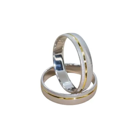 Alianza Plata Bicolor 145-084BA-R