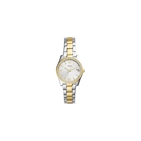 Reloj Fossil Scarlette Mini Plateado y Dorado Analógico Mujer ES4319