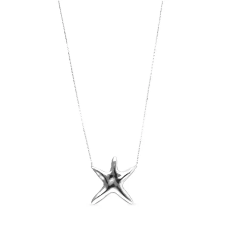 Collar UNOde50 Starborn Baño Plata COL2085MTL0000U