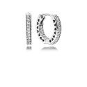 296317CZ