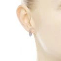 296317CZ