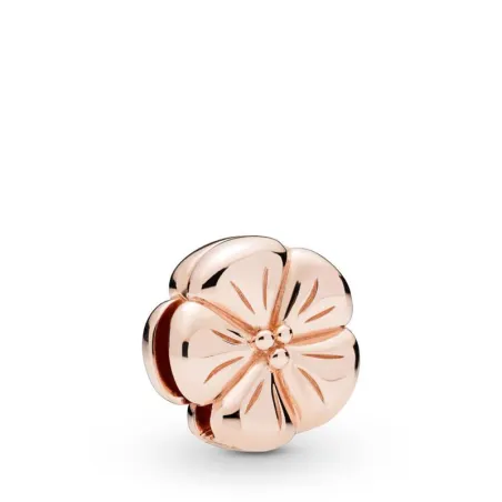 Charm Reflexions Flor Clásica en PANDORA Rose 787897