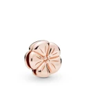 Charm Reflexions Flor Clásica en PANDORA Rose 787897