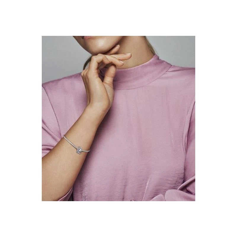 Charm Pandora Ardilla 799105C01