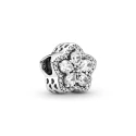 Charm Pandora Pavé Copos de Nieve Brillantes 799224C01