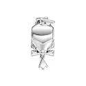 Charm Pandora Buho Sabio 798907C01