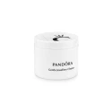 Set de Limpieza Joyas Pandora A002_A