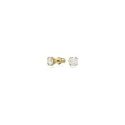 Pendientes Swarovski Constella Mujer Botón Baño Oro y Cristal Brillante 5642595