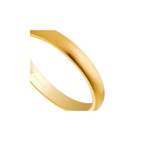 Alianza de boda oro 50306S