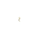 Charm Suelto Salvatore Miscellany Mujer Media Luna Plata Baño Oro y Circonitas 213CH034