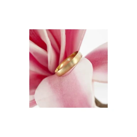 Alianza de boda oro 50403S