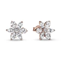 Pendientes Pandora Herbario Brillante Baño Rose 282407C01