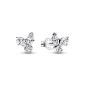 Pendientes Pandora Herbario Brillante 292406C01