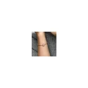 Charm Pandora Herbario Redondo Brillante Baño Rose 782383C01