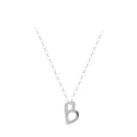 Collar ARXIS Incial plata B