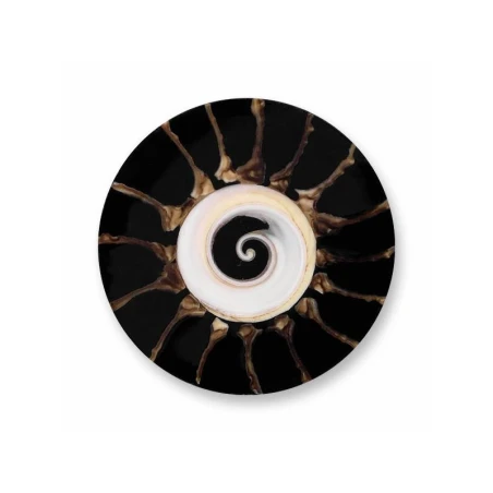 Disco Mi Moneda Maori NAT-MA-L