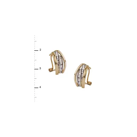 Pendientes Mujer Oro Bicolor y Circonitas 1-11669-0-1