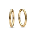 Pendientes Pandora Shine Mujer Aro 269532C00