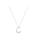 Collar ARXIS Incial plata C