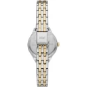 Reloj DKNY Plateado, Dorado y Negro, Analógico Mujer NY6632