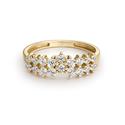 Anillo Litta Fiore Oro Amarillo Doble hilera Circonitas LRN-201-002