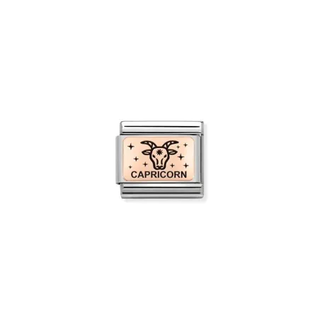 Composable Classic ZODIACO (IC) acero y oro 9k capricornio