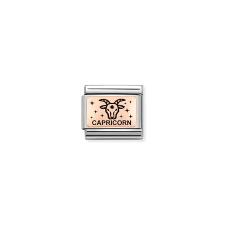 Composable Classic ZODIACO (IC) acero y oro 9k capricornio