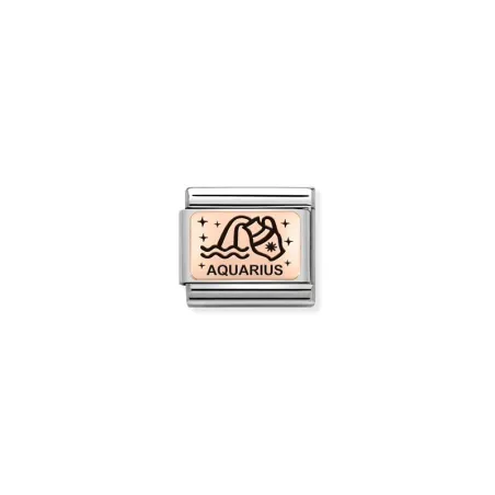 Composable Classic ZODIACO (IC) acero y oro 9k acuario