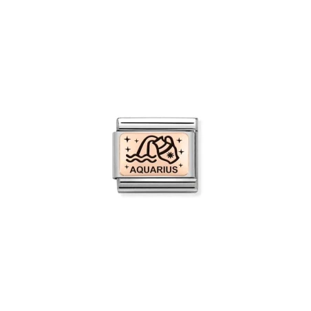 Composable Classic ZODIACO (IC) acero y oro 9k acuario