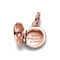 Charm Colgante Pandora Rosado Medalla Candado 783066C01
