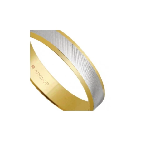 Alianza 4mm bicolor centro matizado 18K 5240308