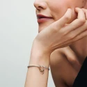 Charm Colgante Divisible Pandora Esposas Bicolor 763435C00