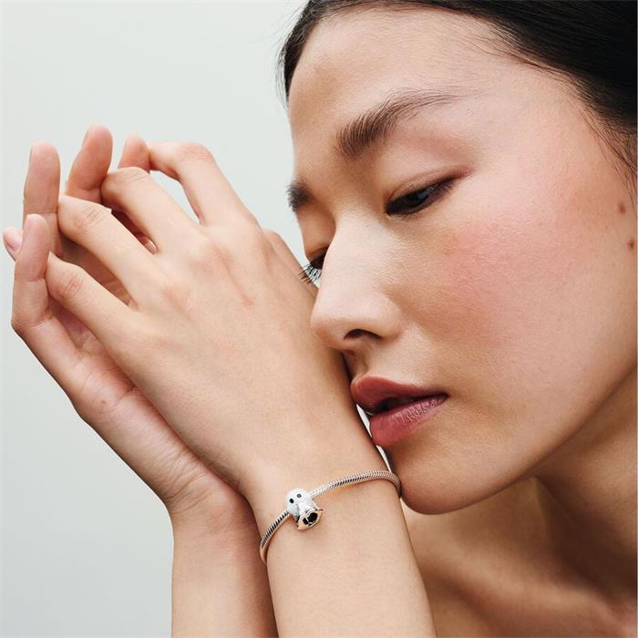 Cham Pandora Fanstama Boo 793404C01