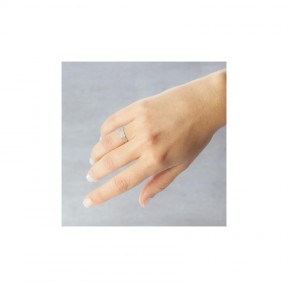 Alianza de boda bicolor 5245466D 2