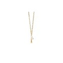 Collar PdPaola Kira Gota Plata Baño Oro y Circonita Blanca CO01-972-U