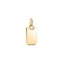 Colgante Pandora Etiqueta Rectangular Grabable 368611C00